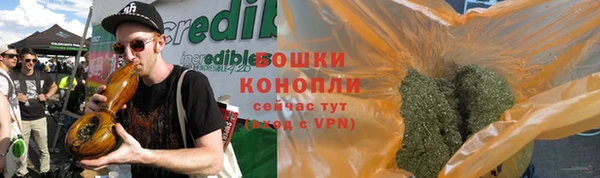 ГАЛЛЮЦИНОГЕННЫЕ ГРИБЫ Алексин