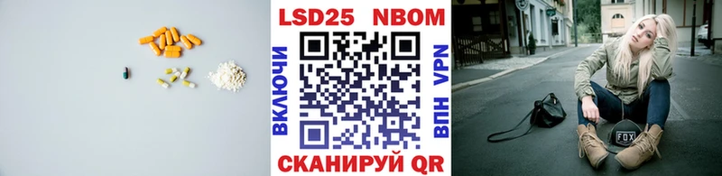 как найти наркотики  Курчалой  Лсд 25 экстази кислота 
